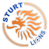 阿德萊德聯(lián)青年隊(duì)